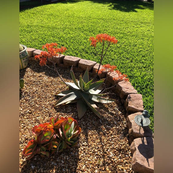 OPEN ME‼️ My Happy Place is in Florida & Making Sales on Poshmark! - Picture 13 of 14